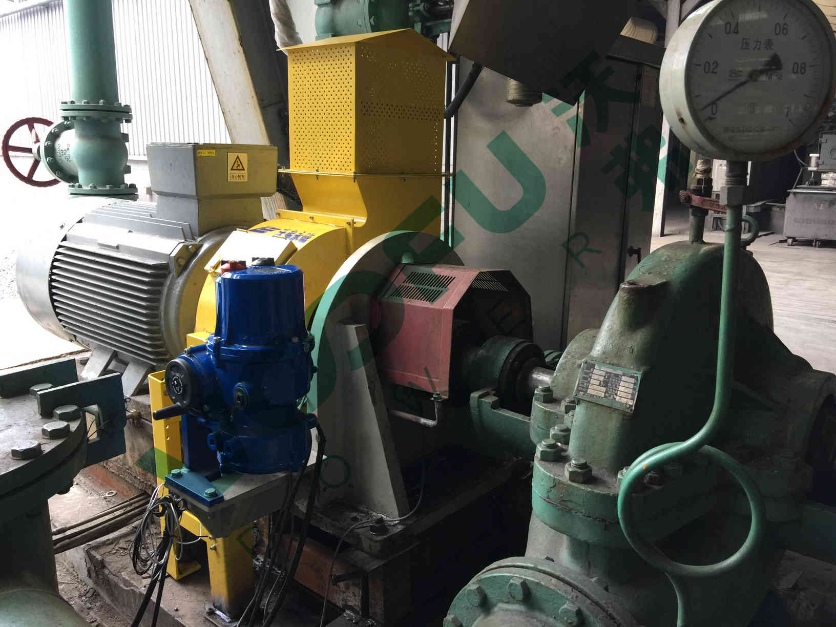 某某電廠（凝結(jié)水疏水泵250kW）