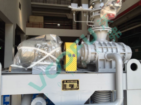 國投宣城電廠(真空泵22kW/2980rpm)