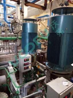 華能桂林分布能源電廠(凝結(jié)水泵132kW/2950rpm)