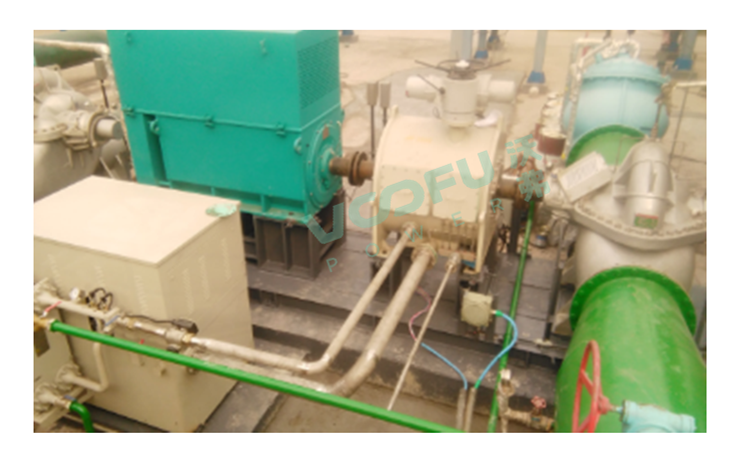 四川普光氣田（循環(huán)水泵450kW/980rpm）