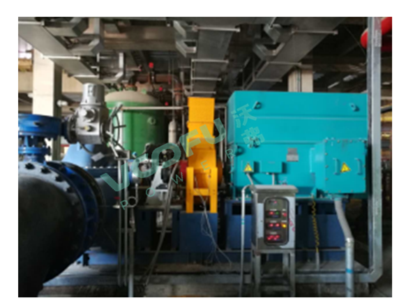 棗礦棗莊八一電廠(開式循環(huán)水泵315kW/990rpm)