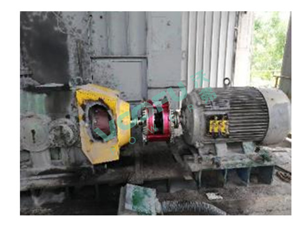 惠州塔牌水泥有限公司(提升機(jī)90kW/1480rpm)