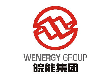 皖能銅陵發(fā)電有限公司（#5機(jī)組凝輸泵）節(jié)能改造