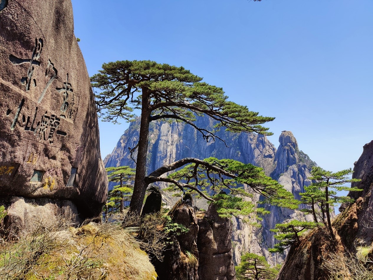 1681373264741566.jpg 1681373264741566.jpg