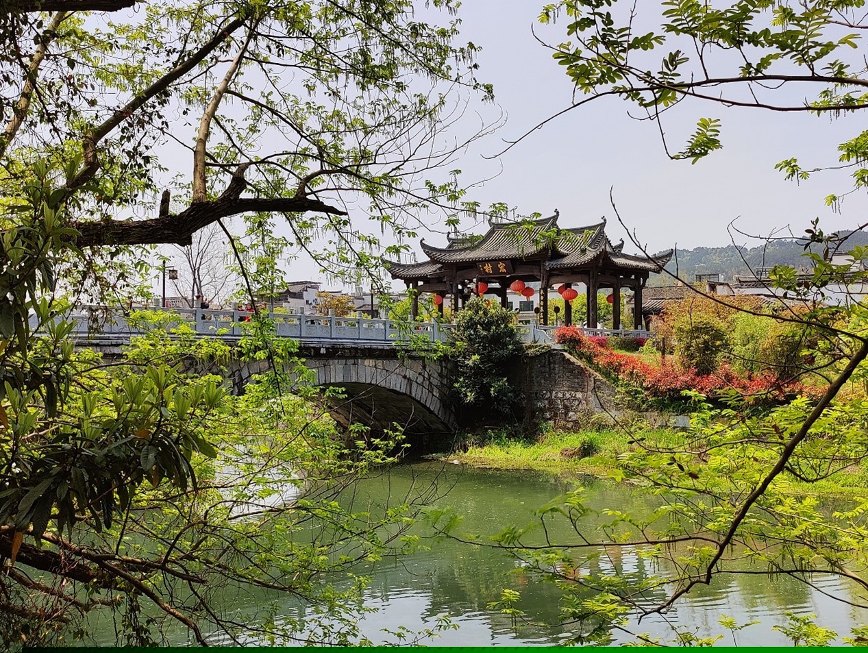 1681373449944934.jpg 1681373449944934.jpg